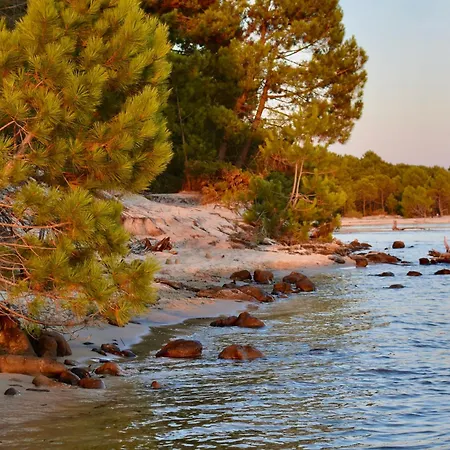 펜션 Maison Paisible Avec Jardin - Proche Du De *