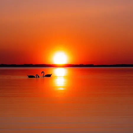 Maison Paisible Avec Jardin - Proche Du De *