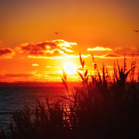 펜션 Maison Paisible Avec Jardin - Proche Du De