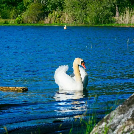 Maison Paisible Avec Jardin - Proche Du De 펜션