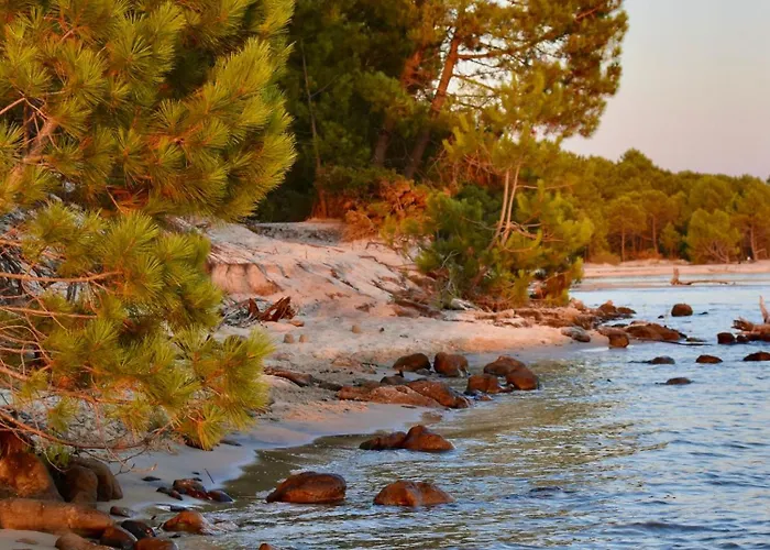 Casa vacanze Maison Paisible Avec Jardin - Proche Du De *