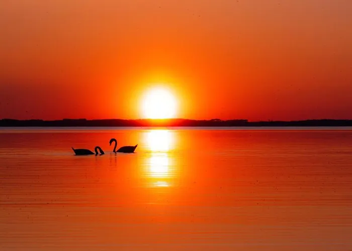 Maison Paisible Avec Jardin - Proche Du De *