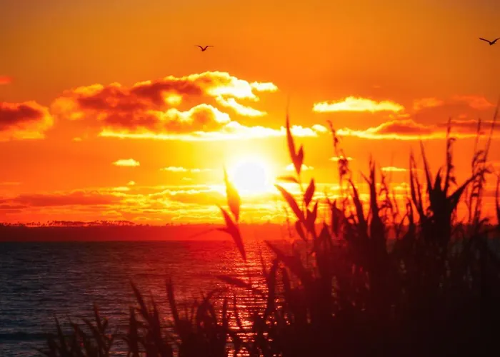 Casa vacanze Maison Paisible Avec Jardin - Proche Du De