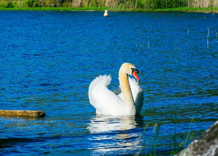 Maison Paisible Avec Jardin - Proche Du De Casa vacanze